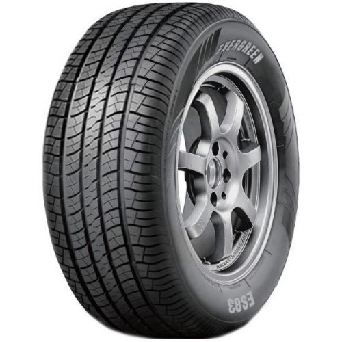Evergreen DYNACOMFORT ES83 225/60R17 99H